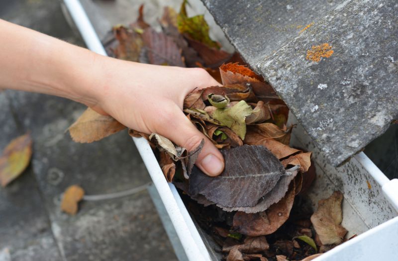 Clogged Gutters